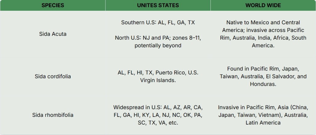 An image displaying where Sida Acuta, Sida Cordifolia, and Sida Rhombifolia grow natively. 

The sida plants often go by other names, such as broomweed.